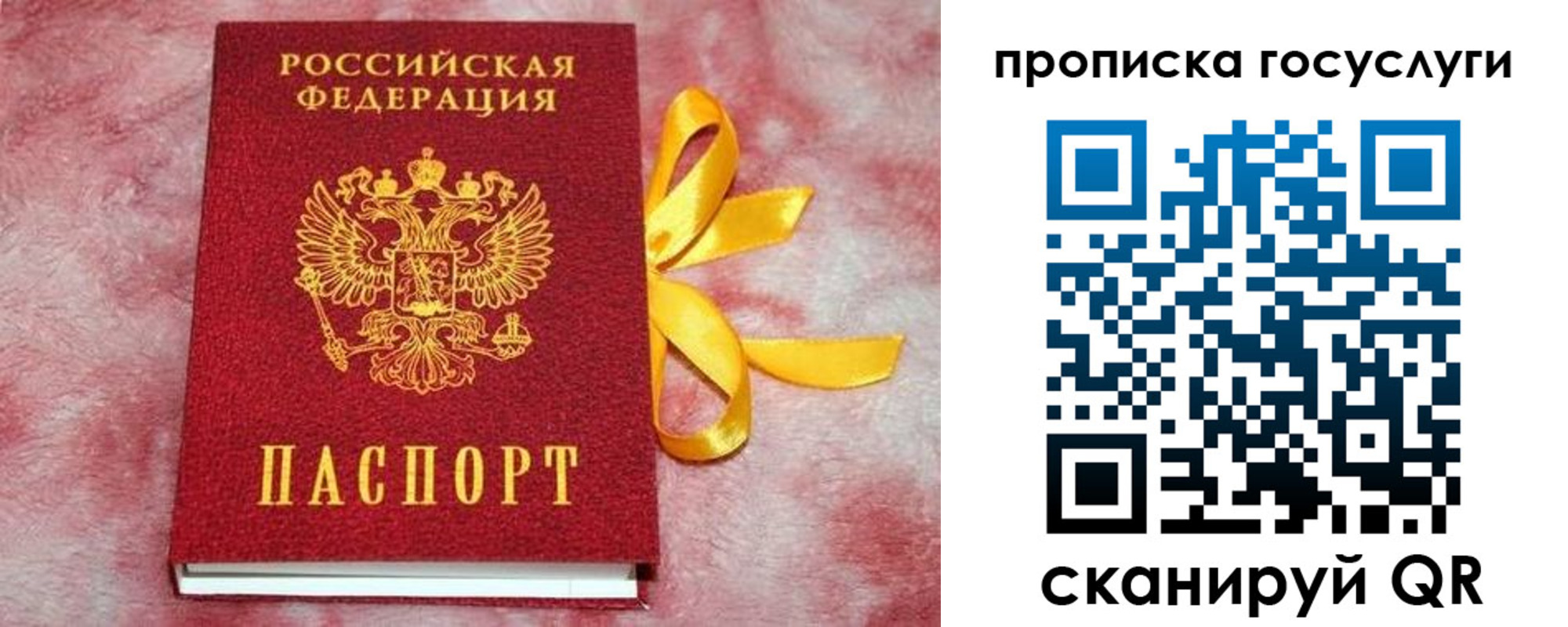 прописка законно в Будённовске